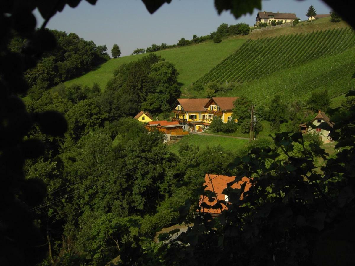 Weingut Stoff Bed & Breakfast Китцек им Заусал Екстериор снимка