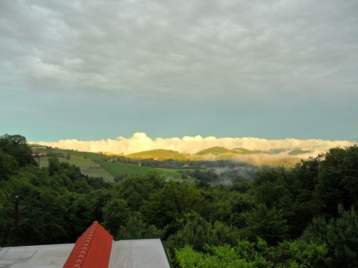 Weingut Stoff Bed & Breakfast Китцек им Заусал Екстериор снимка